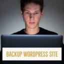 wordpress backup plugins