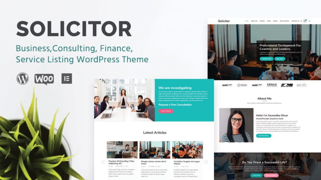 Solicitor theme review