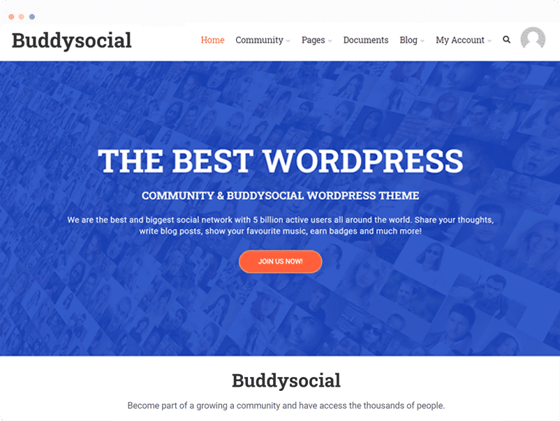 buddysocial