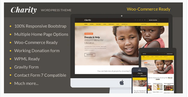 Best WordPress Foundation Themes