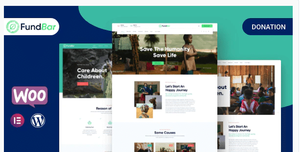 wordpress theme for fund and donation