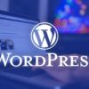 WordPress Themes for blogs, magazines, and e-shops!