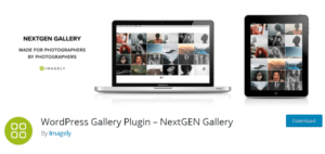 Video Gallery WordPress Plugins