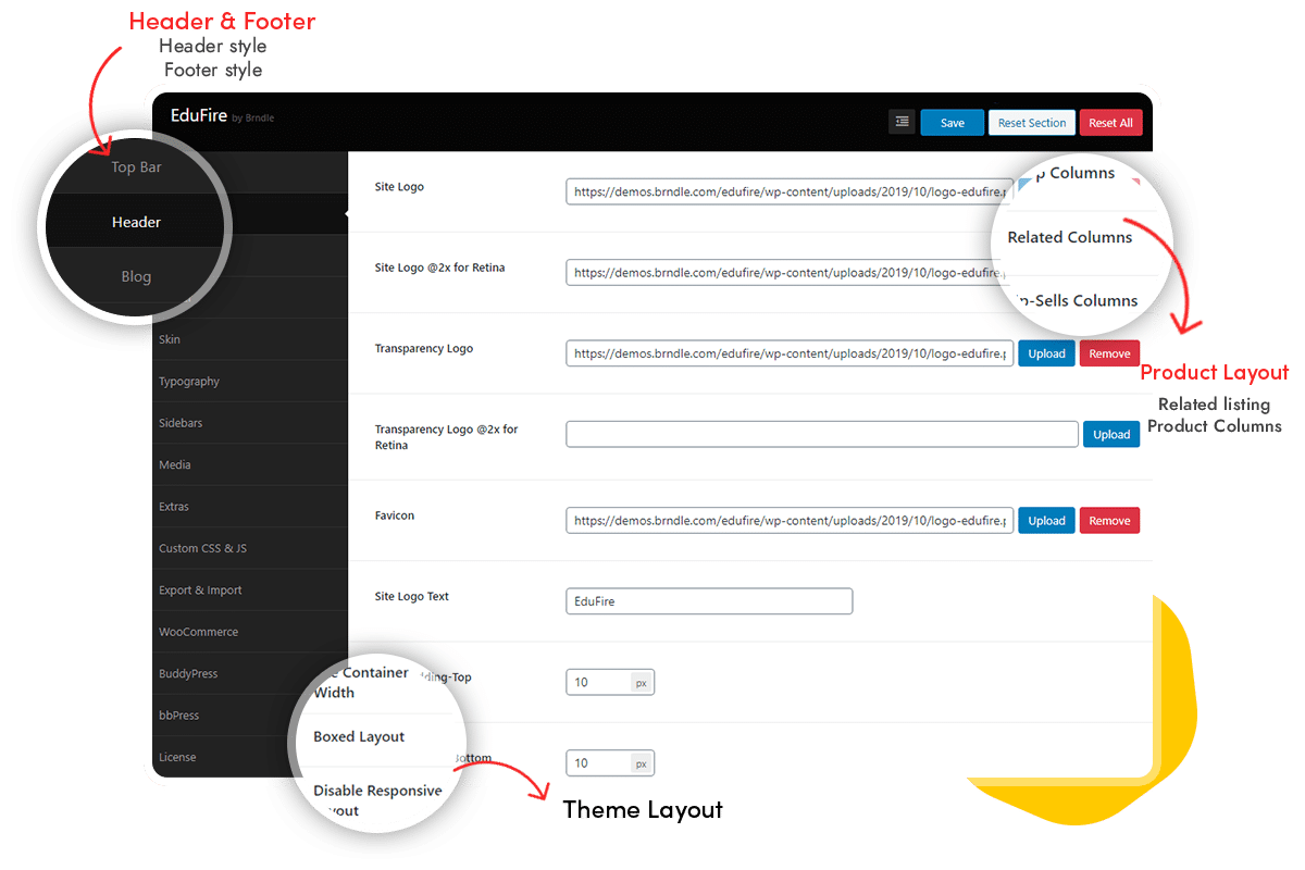 theme option edufire