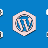 Right WordPress Outsourcing Partner