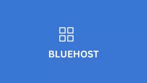 Bluehost Hosting 2