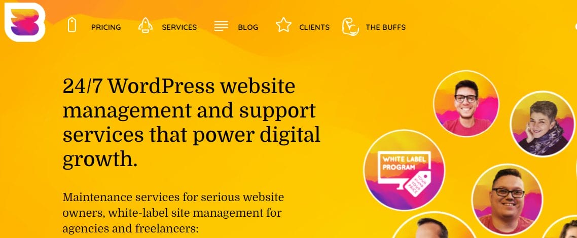 WP Buffs- WordPress Monthly Maintenance Package