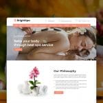 brightspa brndle theme